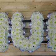 MUM Tribute Lilac 