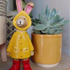 Rabbit in a raincoat