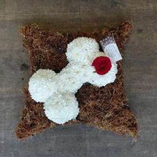 Dog Bone on a Cushion